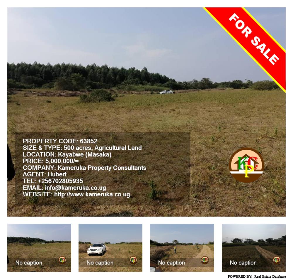 Agricultural Land  for sale in Kayabwe Masaka Uganda, code: 63852