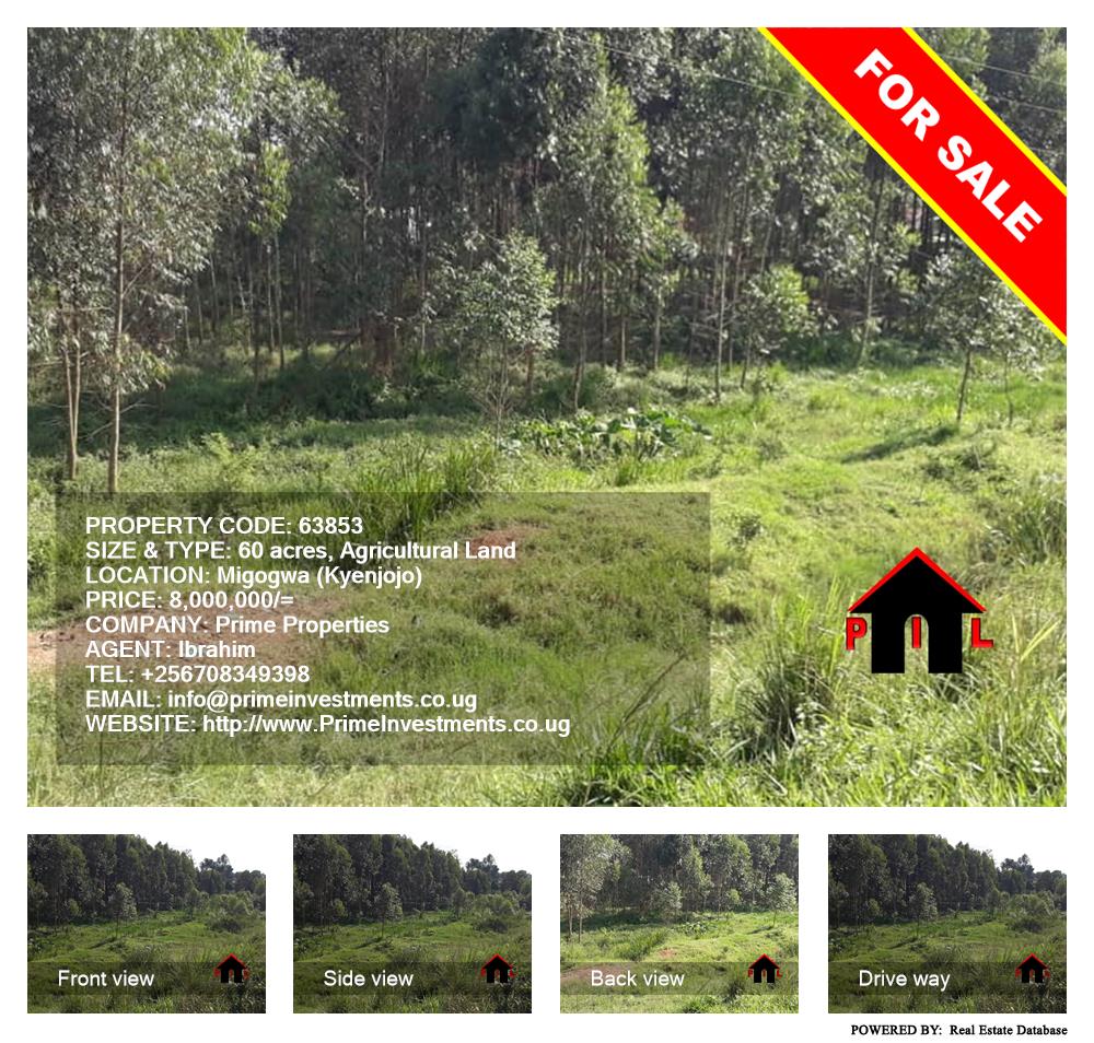 Agricultural Land  for sale in Migogwa Kyenjojo Uganda, code: 63853