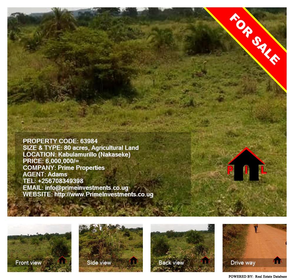 Agricultural Land  for sale in Kabulamulilo Nakaseke Uganda, code: 63984