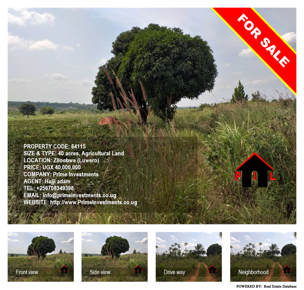 Agricultural Land  for sale in Ziloobwe Luweero Uganda, code: 64115