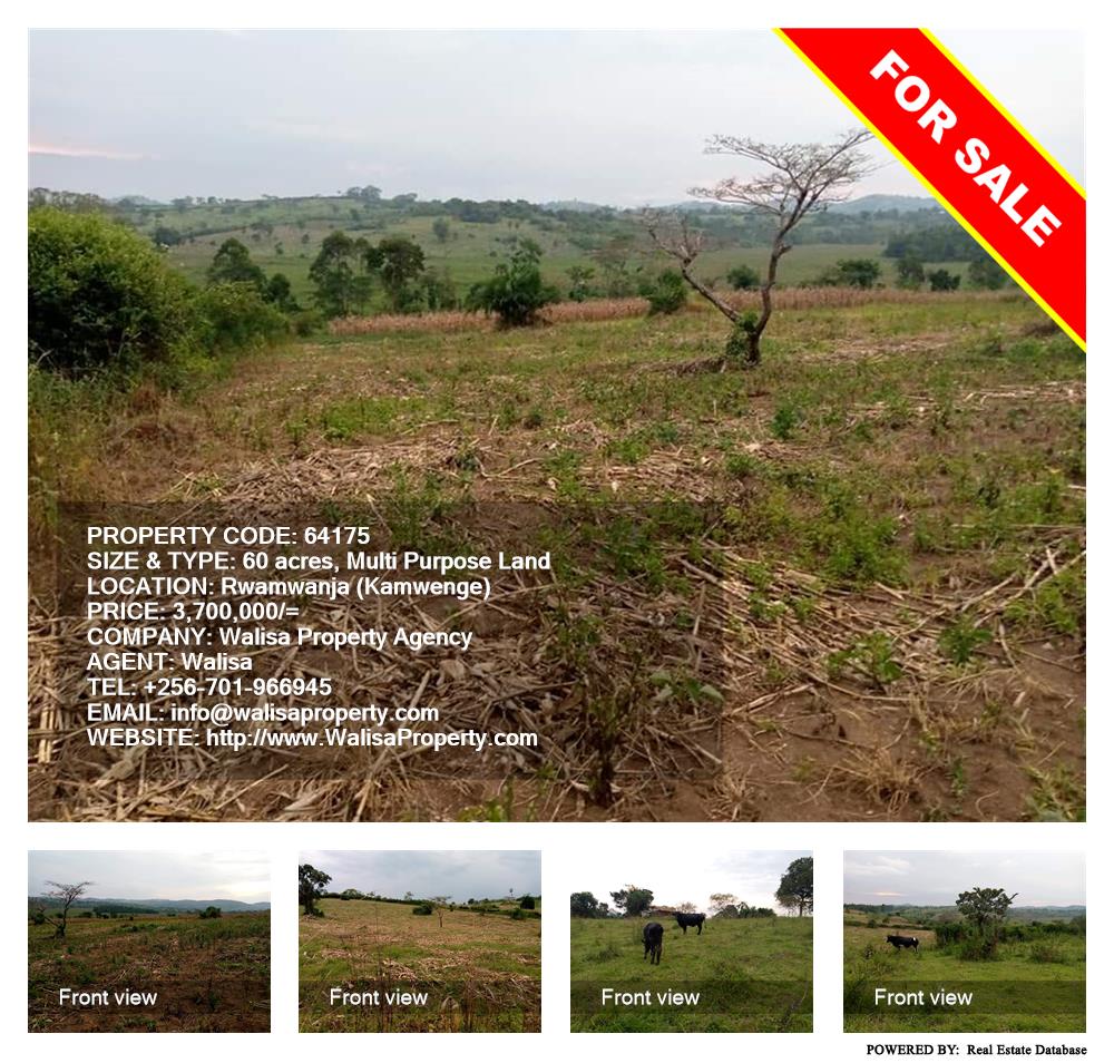 Multipurpose Land  for sale in Rwamwanja Kamwenge Uganda, code: 64175