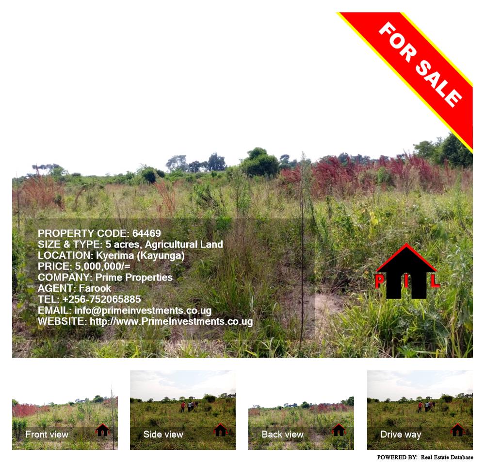 Agricultural Land  for sale in Kyerima Kayunga Uganda, code: 64469