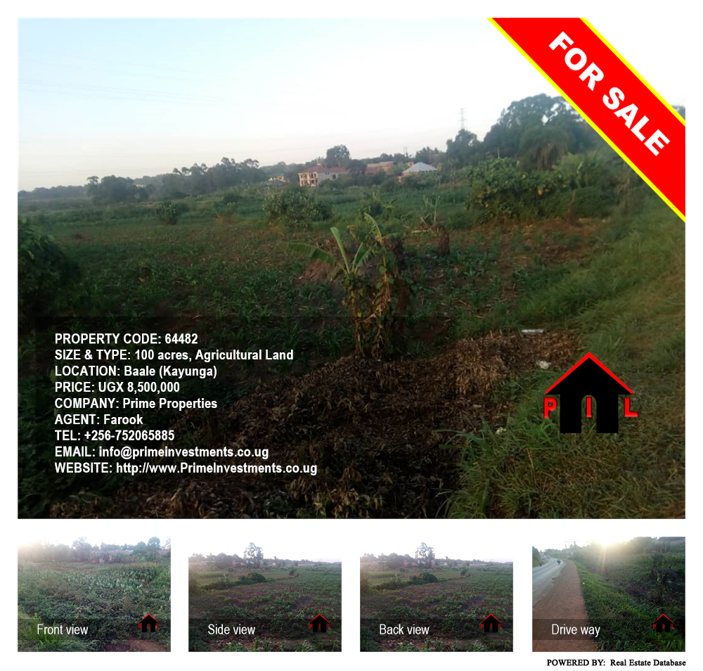 Agricultural Land  for sale in Bbaale Kayunga Uganda, code: 64482