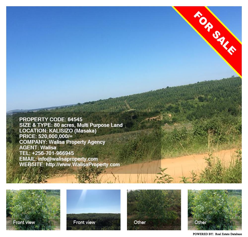 Multipurpose Land  for sale in Kaliisizo Masaka Uganda, code: 64545