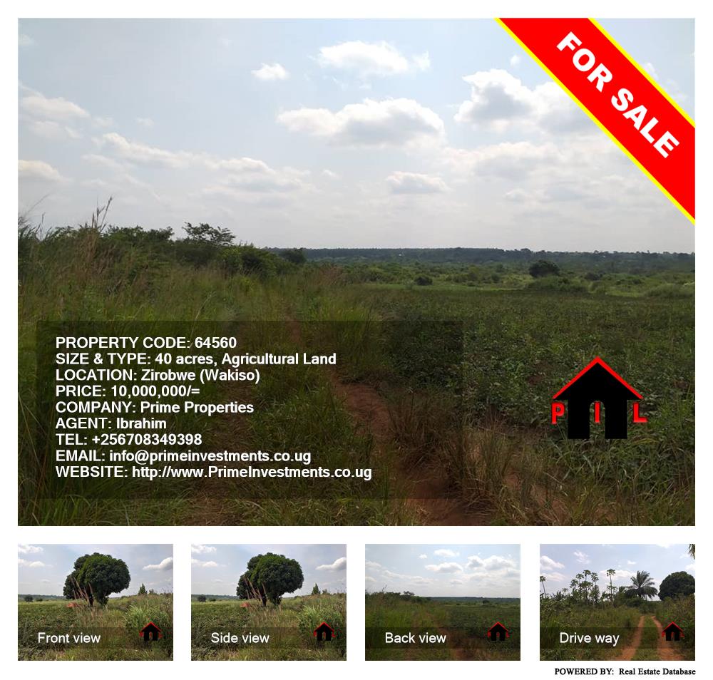 Agricultural Land  for sale in Ziloobwe Wakiso Uganda, code: 64560