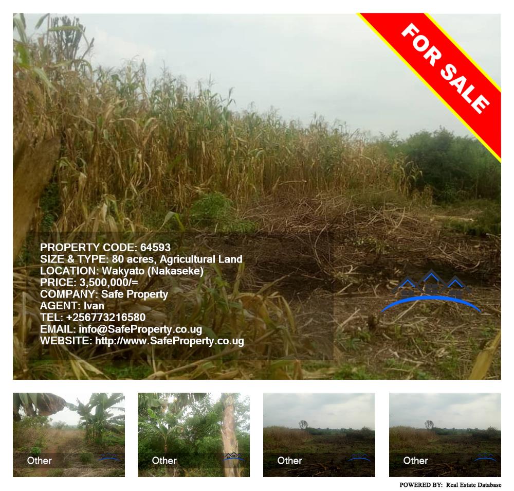 Agricultural Land  for sale in Wakyato Nakaseke Uganda, code: 64593