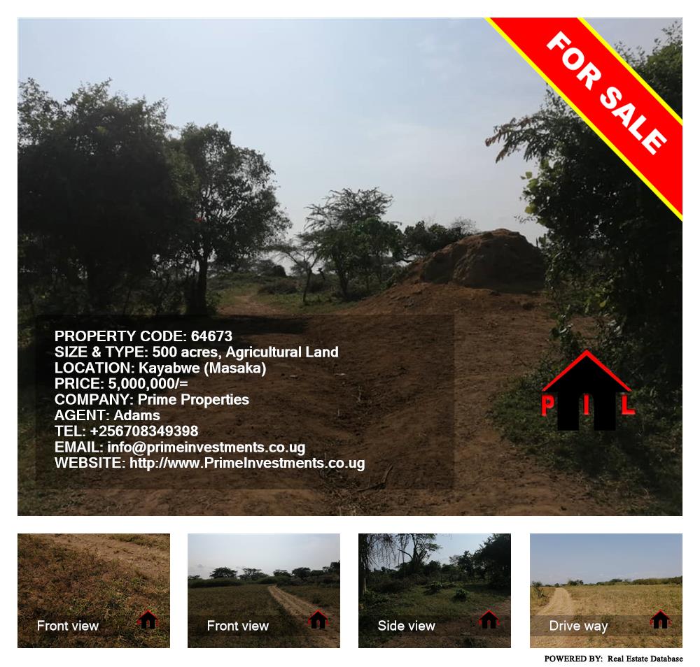 Agricultural Land  for sale in Kayabwe Masaka Uganda, code: 64673