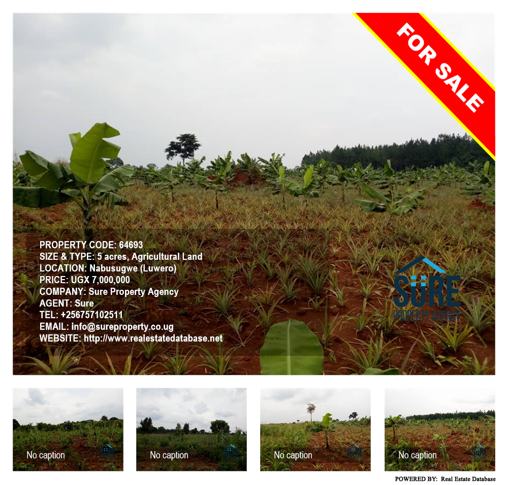 Agricultural Land  for sale in Nabusugwe Luweero Uganda, code: 64693