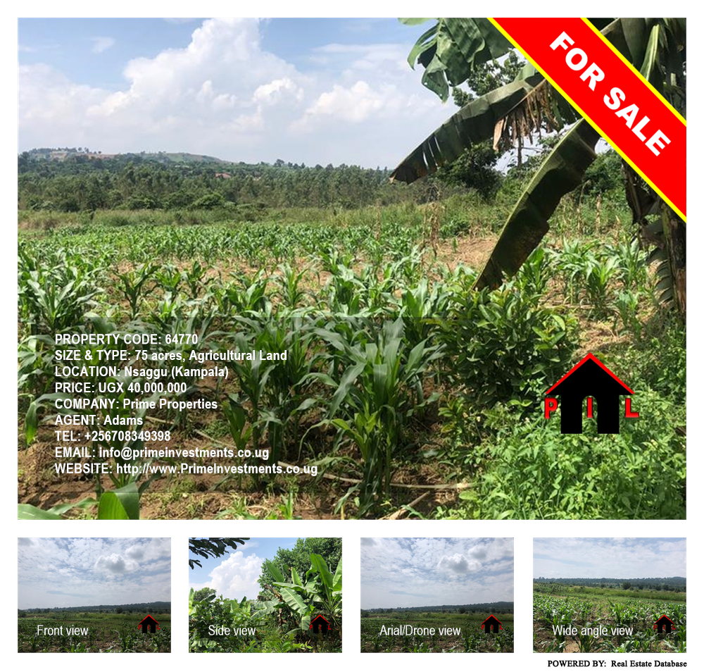 Agricultural Land  for sale in Nsaggu Kampala Uganda, code: 64770
