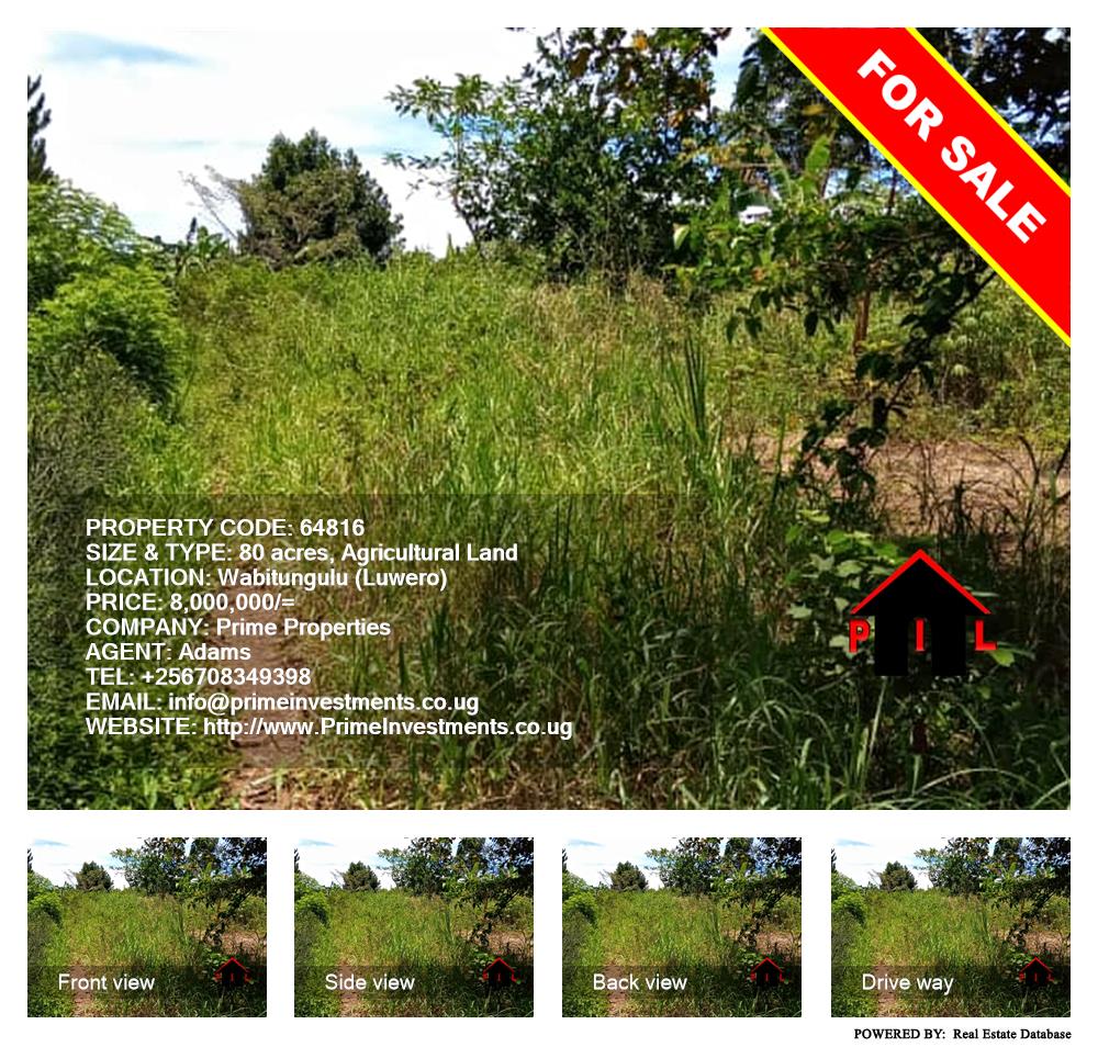 Agricultural Land  for sale in Wabitungulu Luweero Uganda, code: 64816