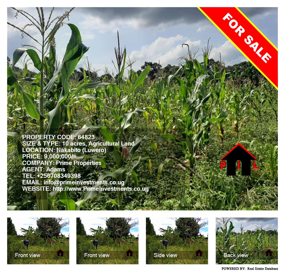 Agricultural Land  for sale in Nakabito Luweero Uganda, code: 64823