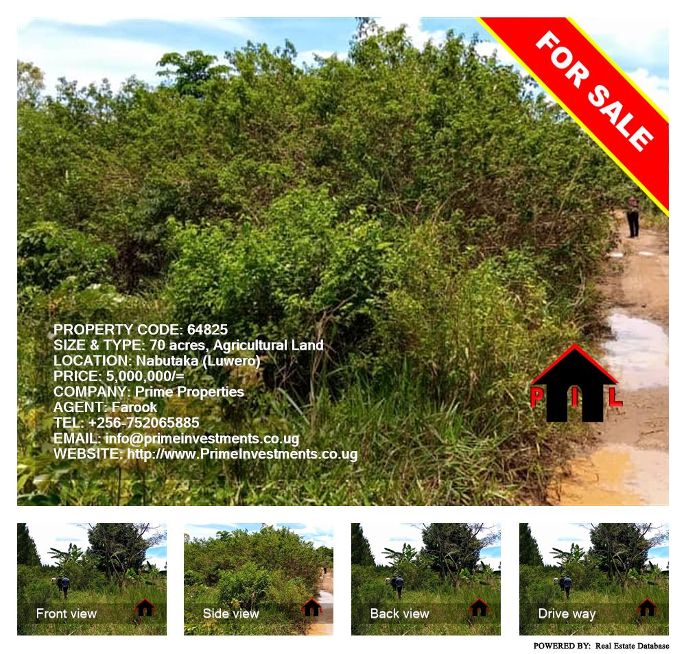 Agricultural Land  for sale in Nabutaka Luweero Uganda, code: 64825