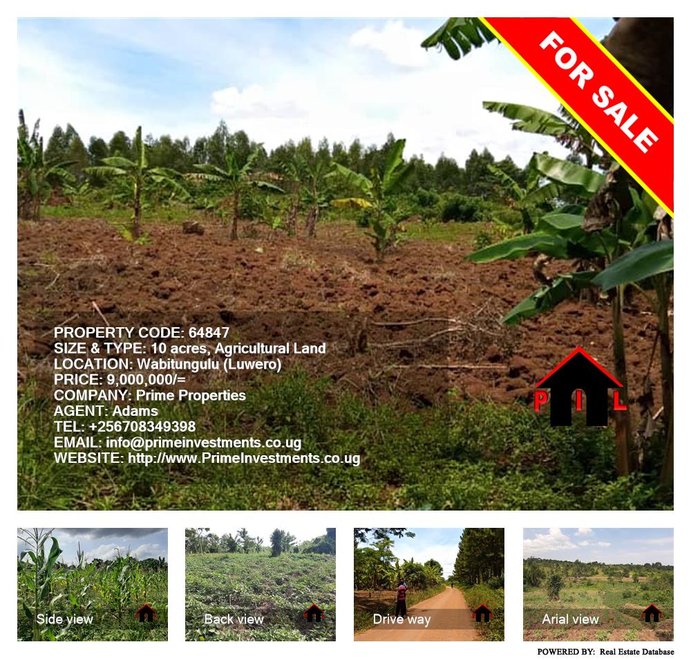 Agricultural Land  for sale in Wabitungulu Luweero Uganda, code: 64847