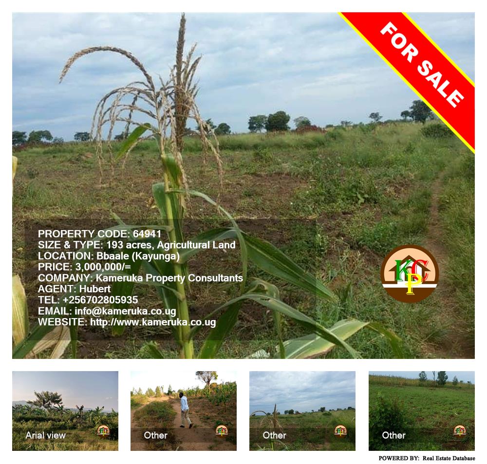 Agricultural Land  for sale in Bbaale Kayunga Uganda, code: 64941