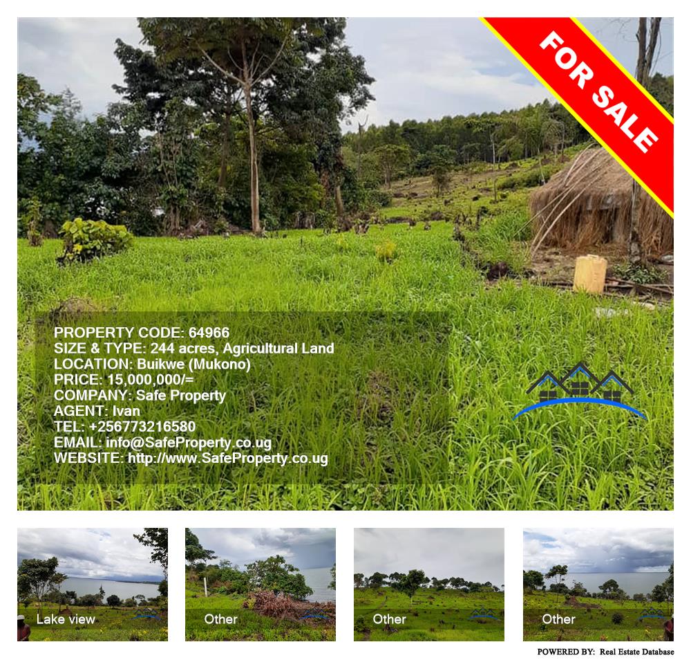 Agricultural Land  for sale in Buyikwe Mukono Uganda, code: 64966