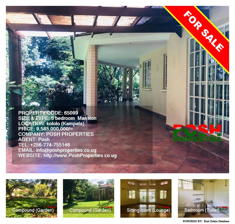 5 bedroom Mansion  for sale in Kololo Kampala Uganda, code: 65099