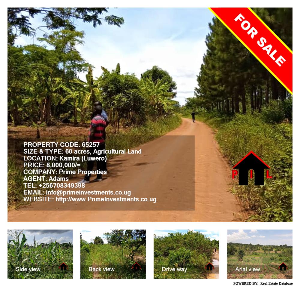 Agricultural Land  for sale in Kamila Luweero Uganda, code: 65257