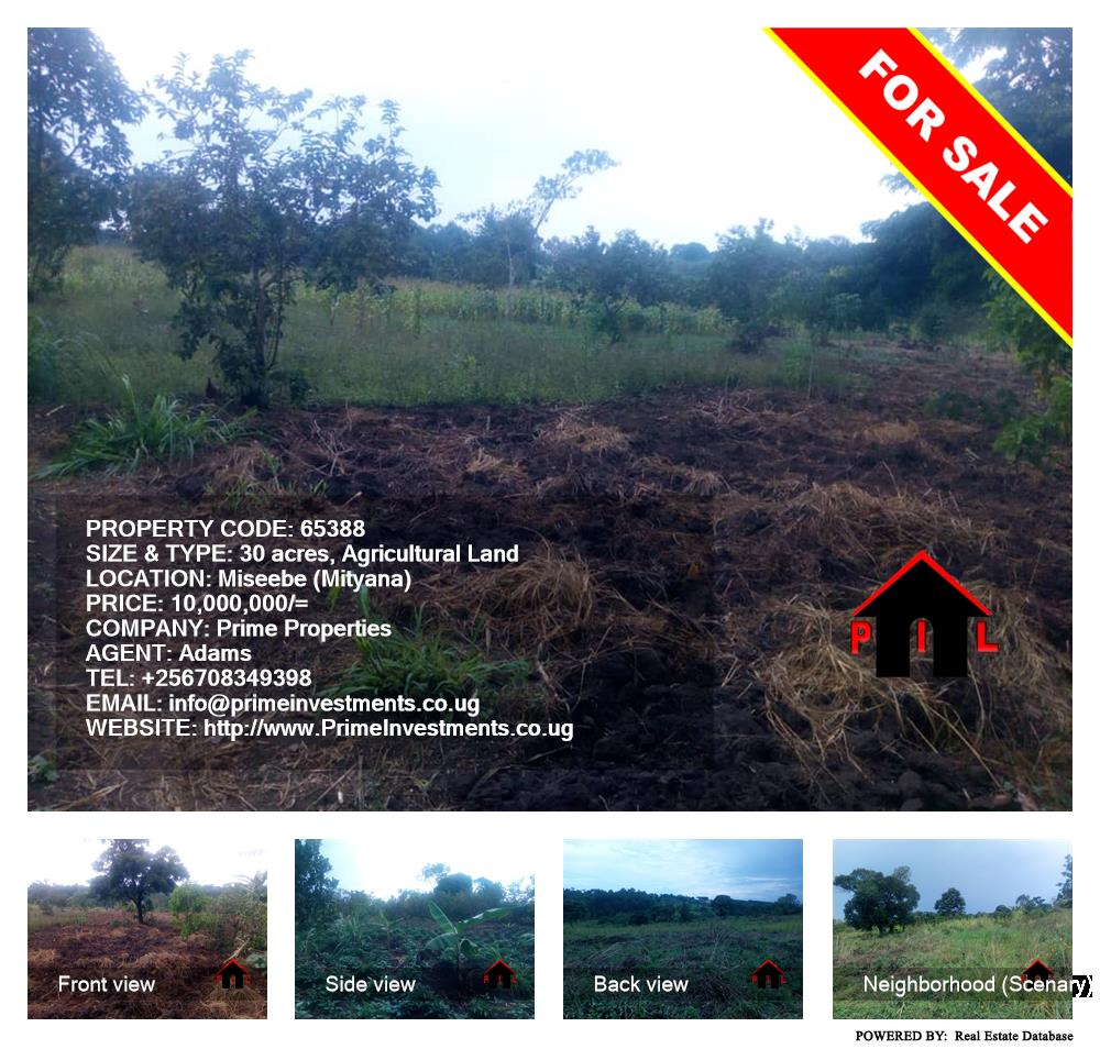 Agricultural Land  for sale in Miseebe Mityana Uganda, code: 65388