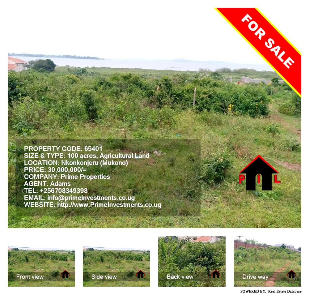 Agricultural Land  for sale in Nkokonjeru Mukono Uganda, code: 65401