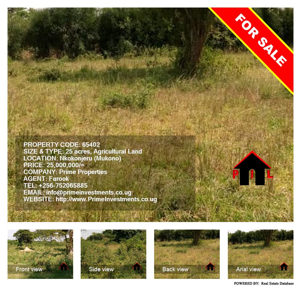 Agricultural Land  for sale in Nkokonjeru Mukono Uganda, code: 65402