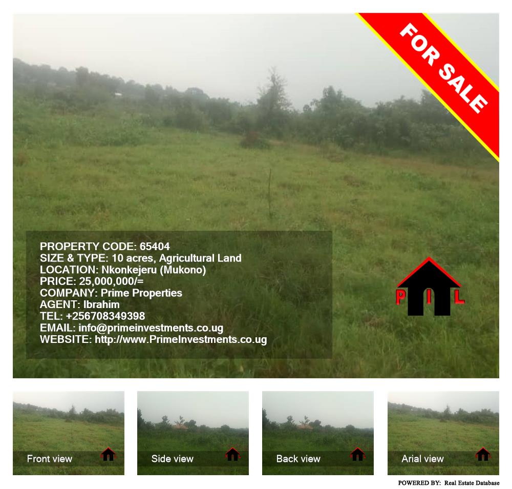 Agricultural Land  for sale in Nkokonjeru Mukono Uganda, code: 65404