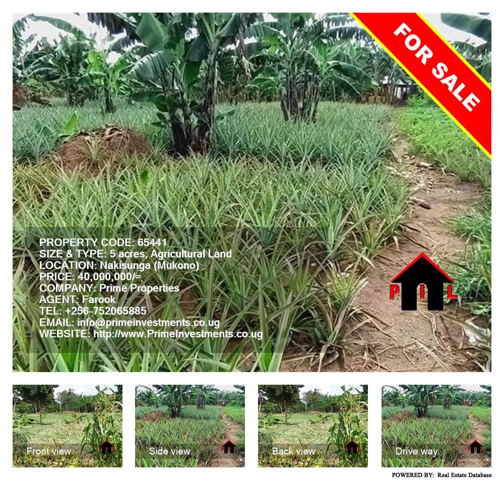 Agricultural Land  for sale in Nakisunga Mukono Uganda, code: 65441