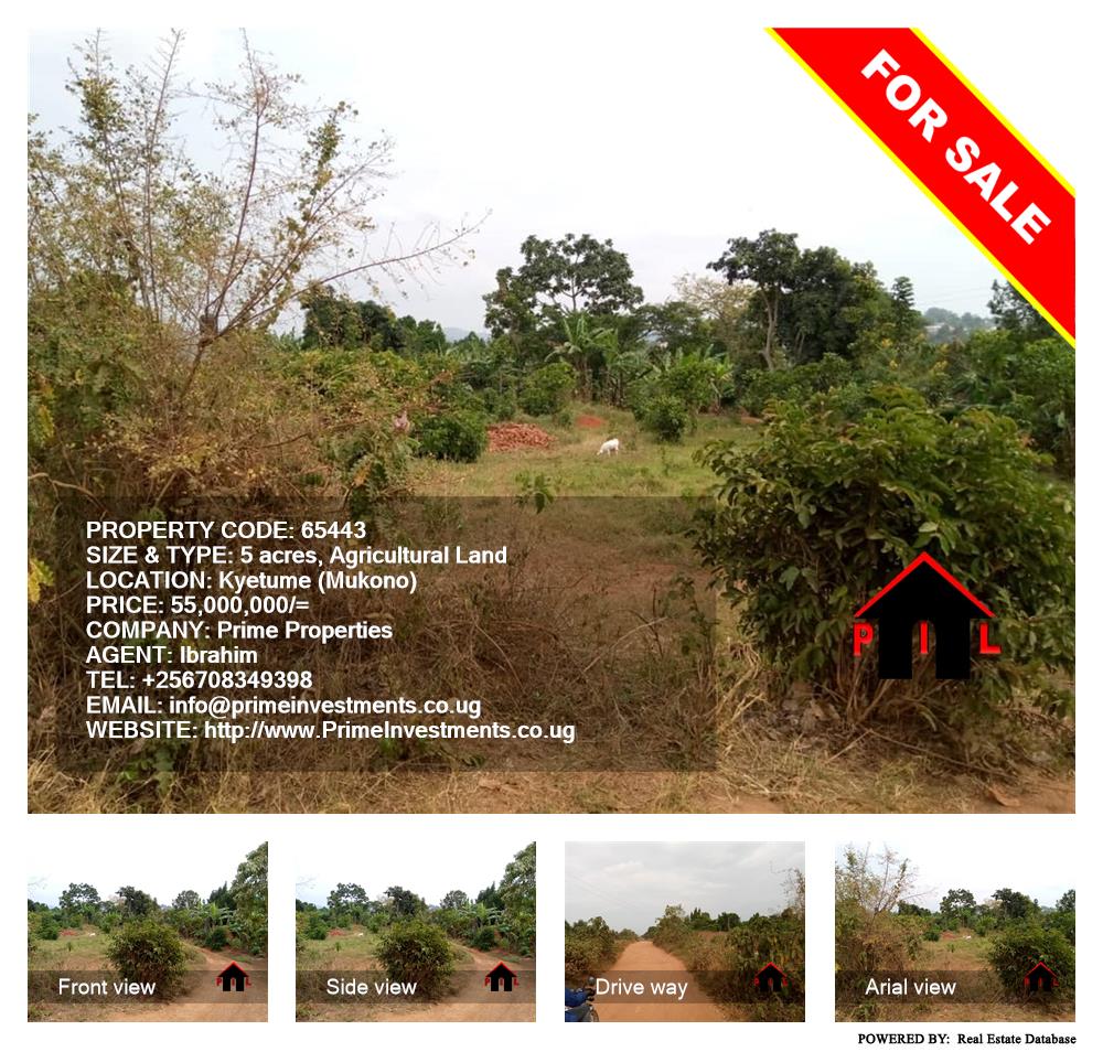 Agricultural Land  for sale in Kyetume Mukono Uganda, code: 65443