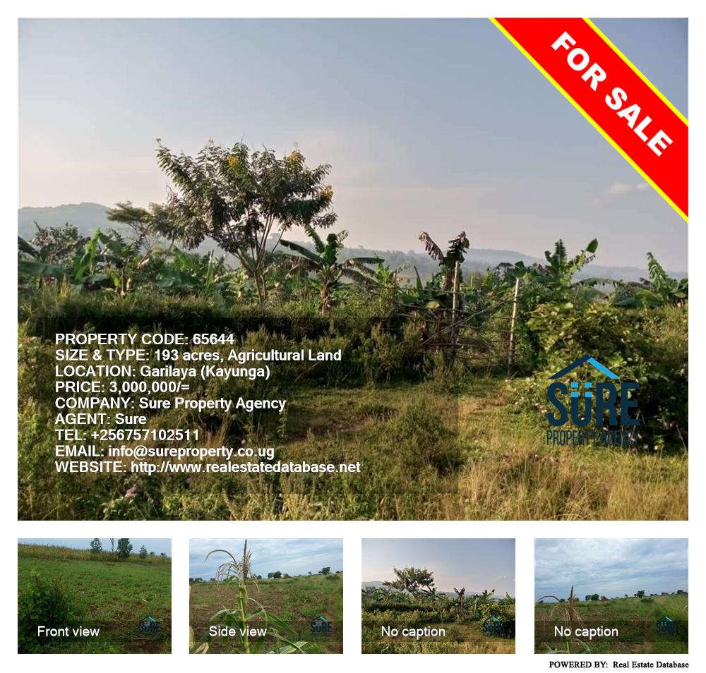 Agricultural Land  for sale in Galilaya Kayunga Uganda, code: 65644