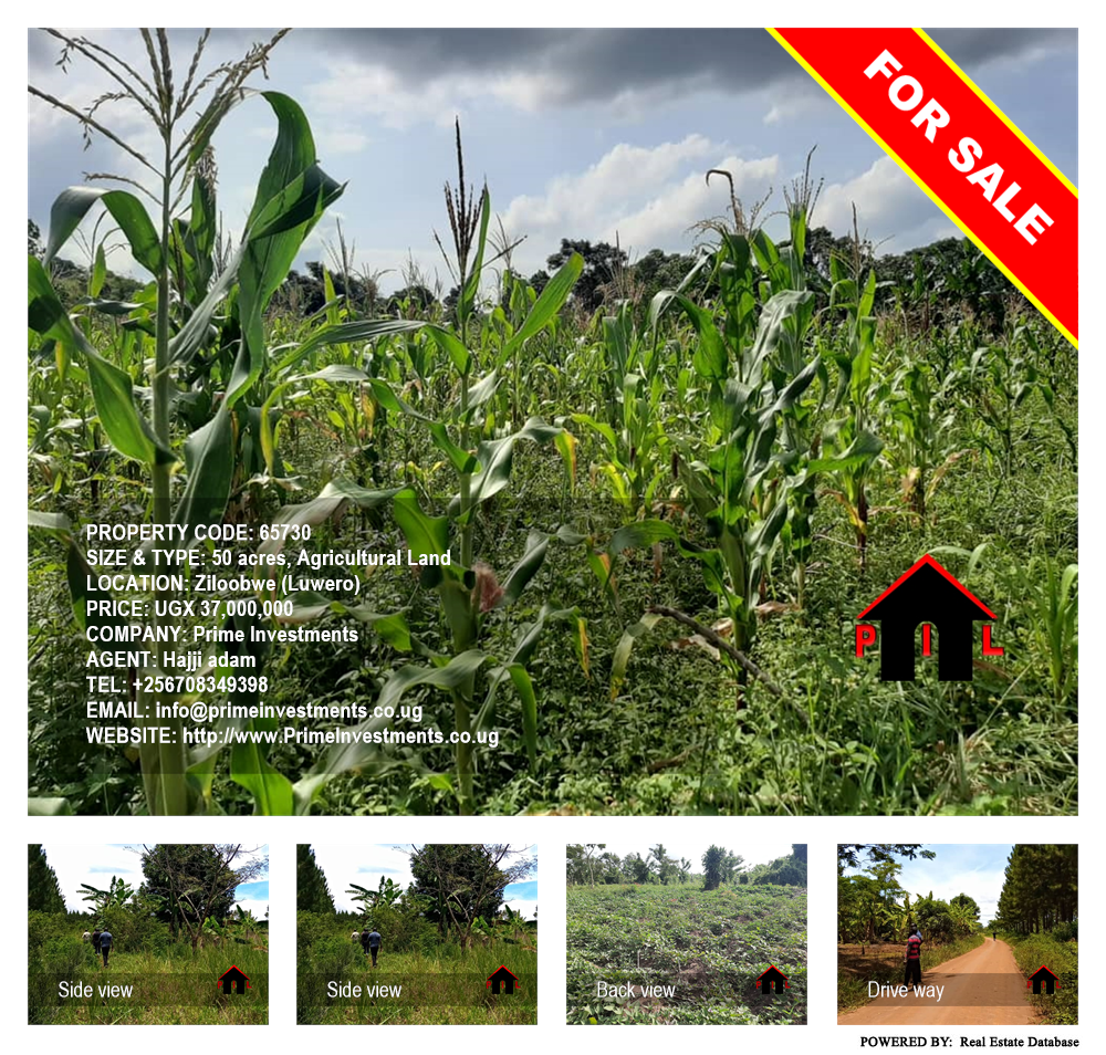 Agricultural Land  for sale in Ziloobwe Luweero Uganda, code: 65730
