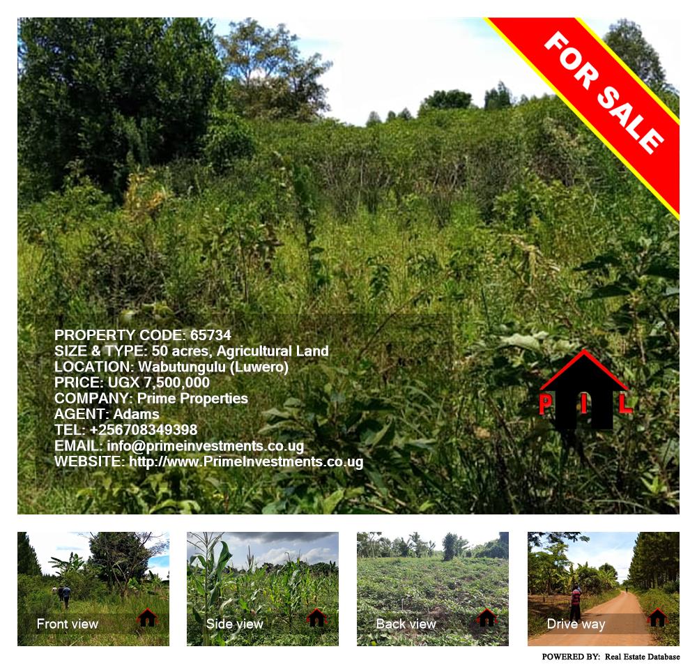 Agricultural Land  for sale in Wabitungulu Luweero Uganda, code: 65734