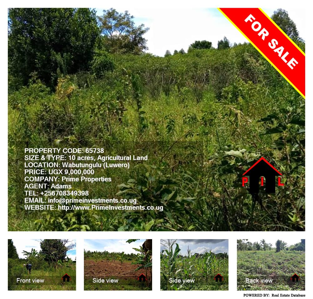 Agricultural Land  for sale in Wabitungulu Luweero Uganda, code: 65738