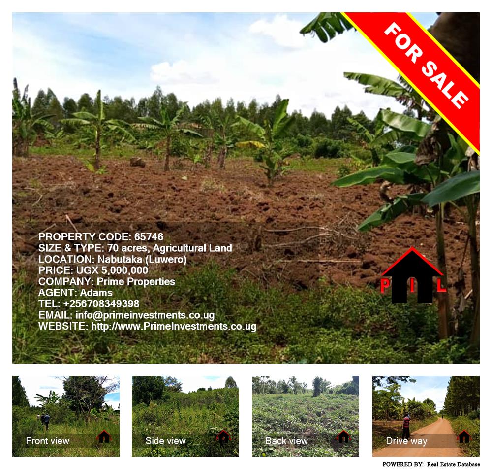 Agricultural Land  for sale in Nabutaka Luweero Uganda, code: 65746