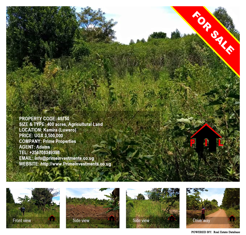 Agricultural Land  for sale in Kamila Luweero Uganda, code: 65750