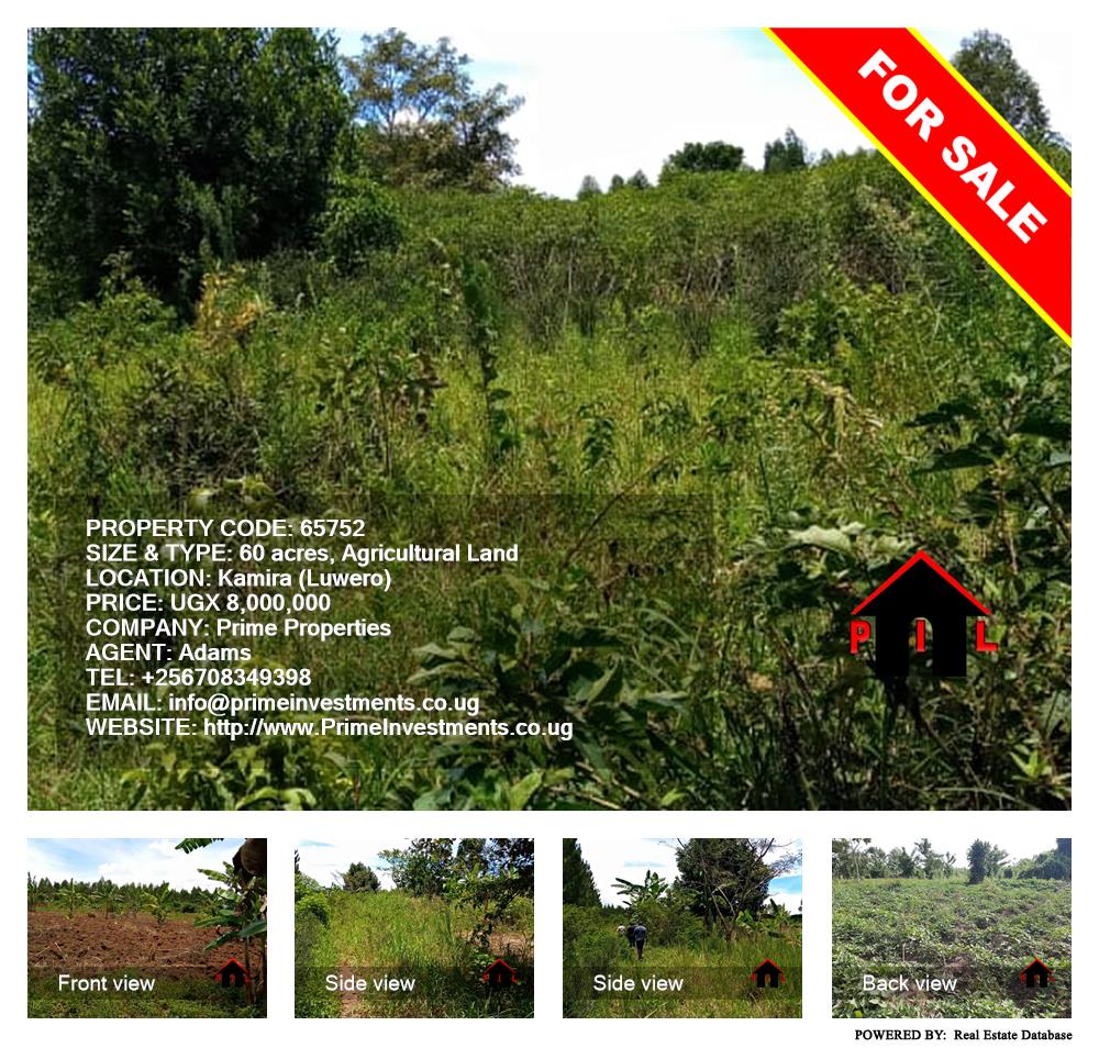 Agricultural Land  for sale in Kamila Luweero Uganda, code: 65752