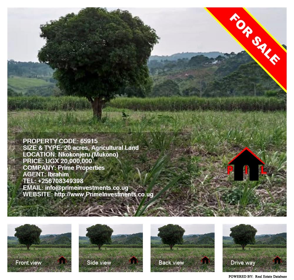 Agricultural Land  for sale in Nkokonjeru Mukono Uganda, code: 65915