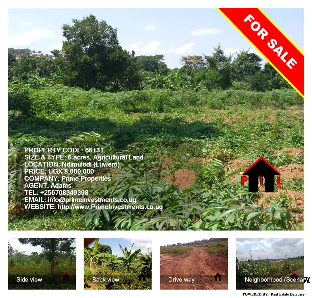 Agricultural Land  for sale in Ndimulodi Luweero Uganda, code: 66131