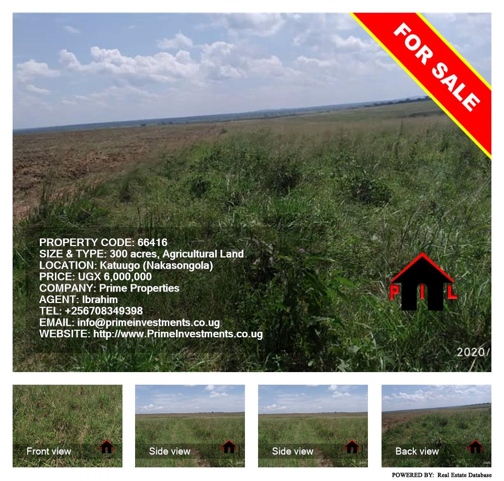 Agricultural Land  for sale in Katuugo Nakasongola Uganda, code: 66416
