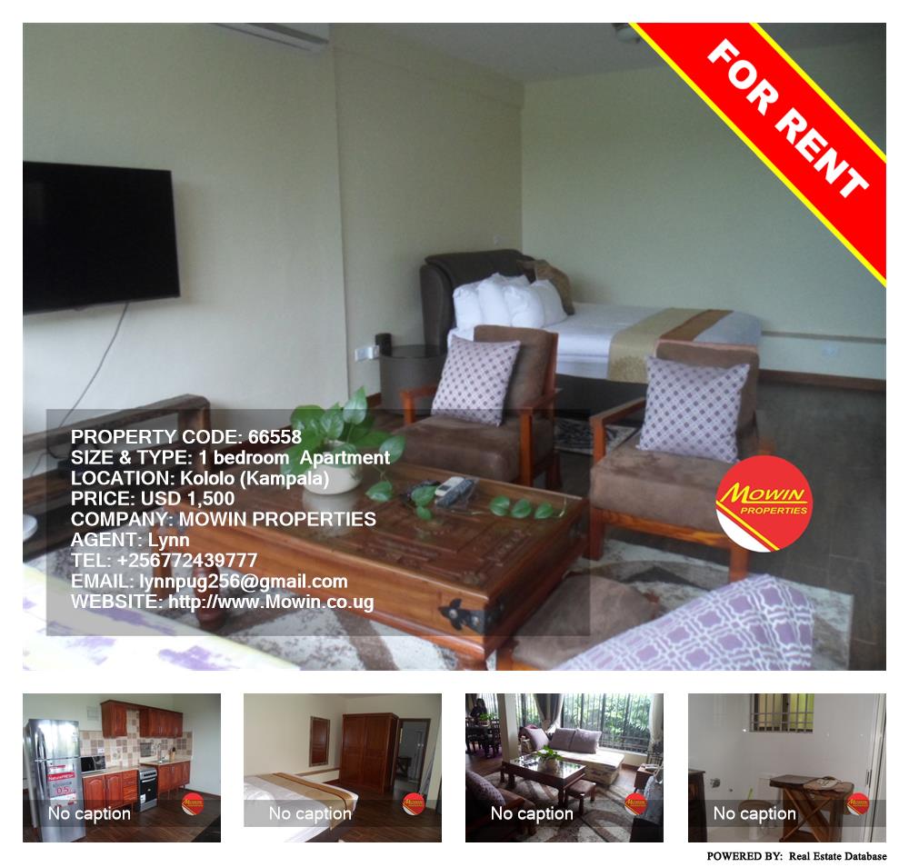 1 bedroom Apartment  for rent in Kololo Kampala Uganda, code: 66558