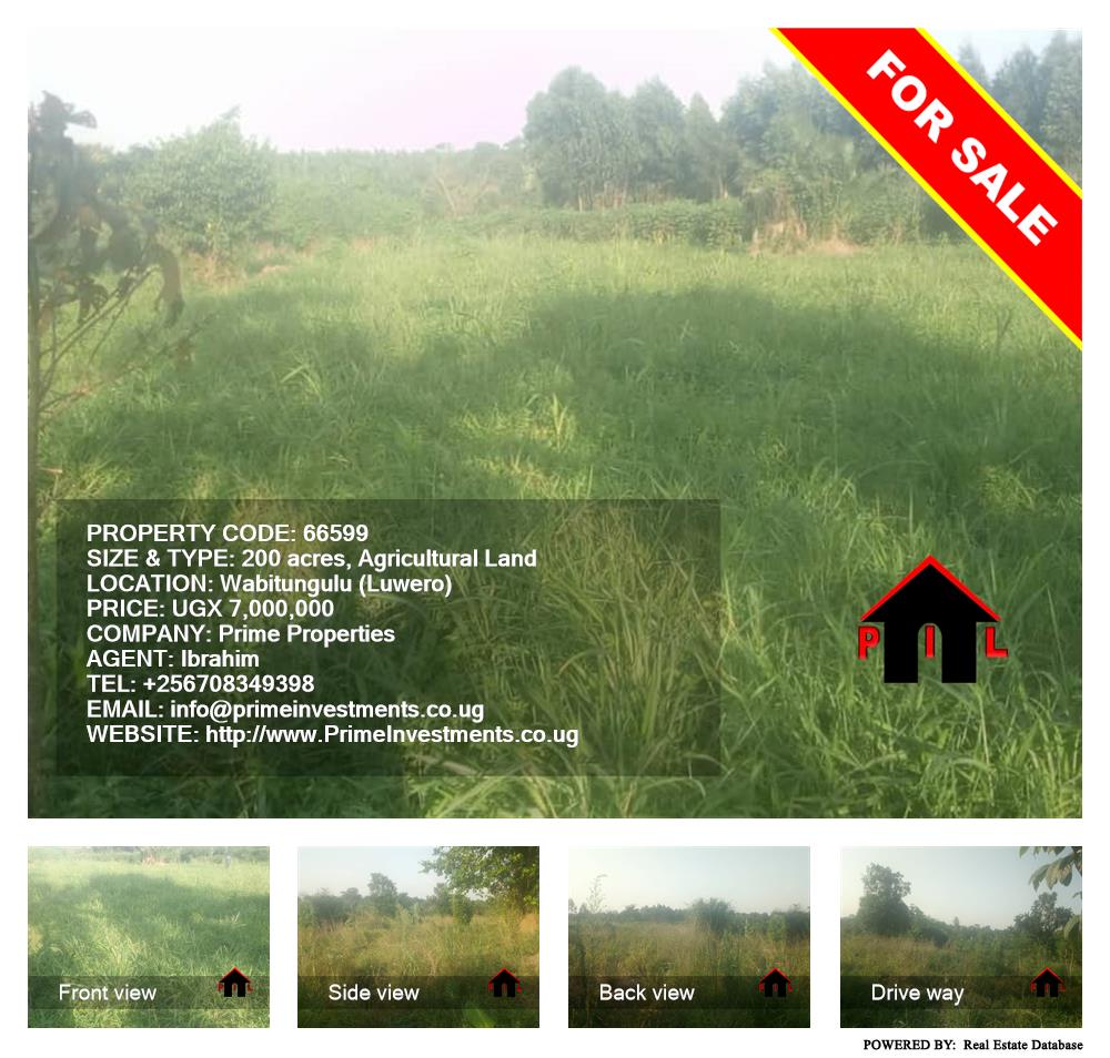 Agricultural Land  for sale in Wabitungulu Luweero Uganda, code: 66599
