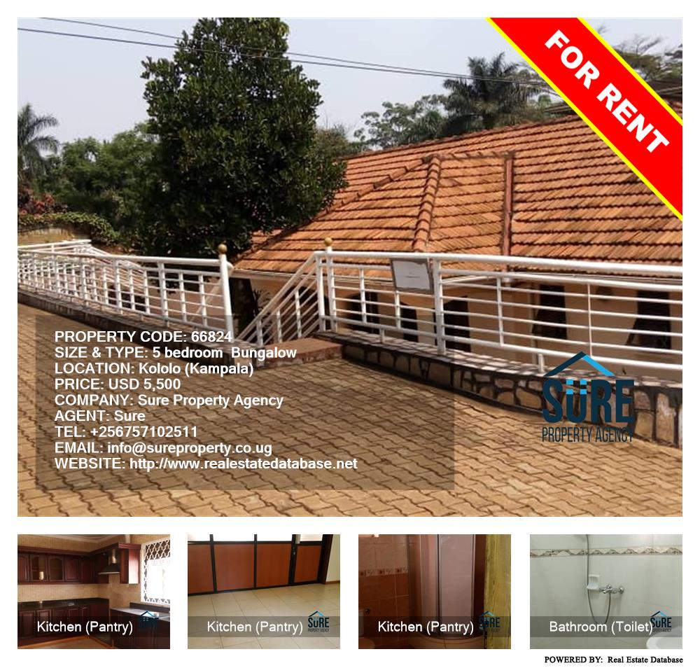 5 bedroom Bungalow  for rent in Kololo Kampala Uganda, code: 66824