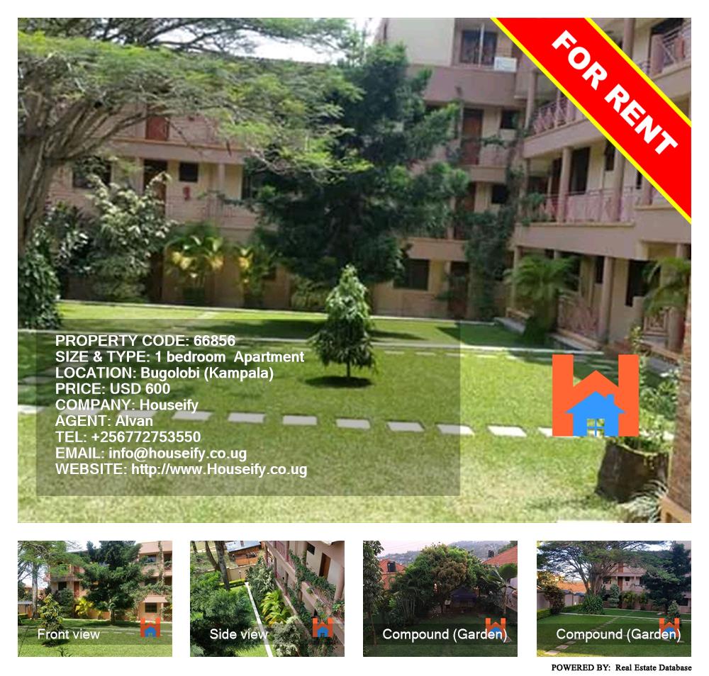 1 bedroom Apartment  for rent in Bugoloobi Kampala Uganda, code: 66856