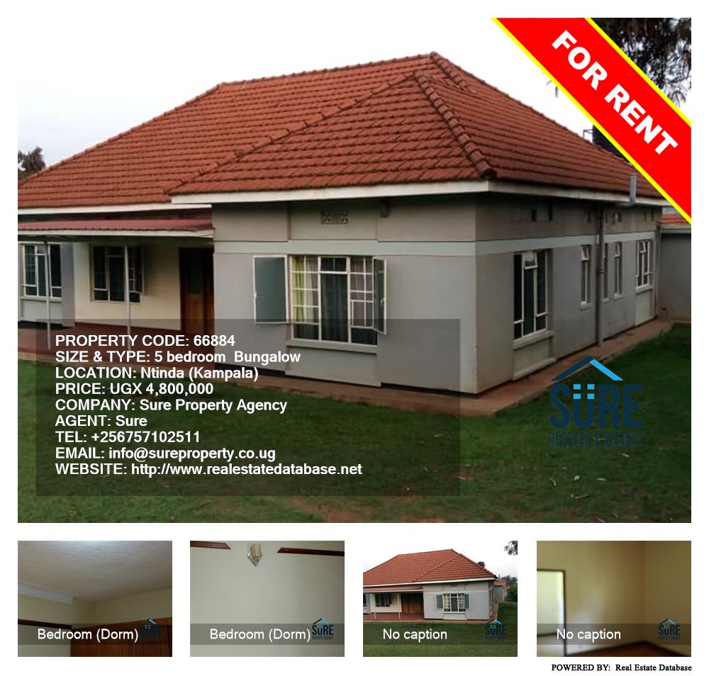 5 bedroom Bungalow  for rent in Ntinda Kampala Uganda, code: 66884