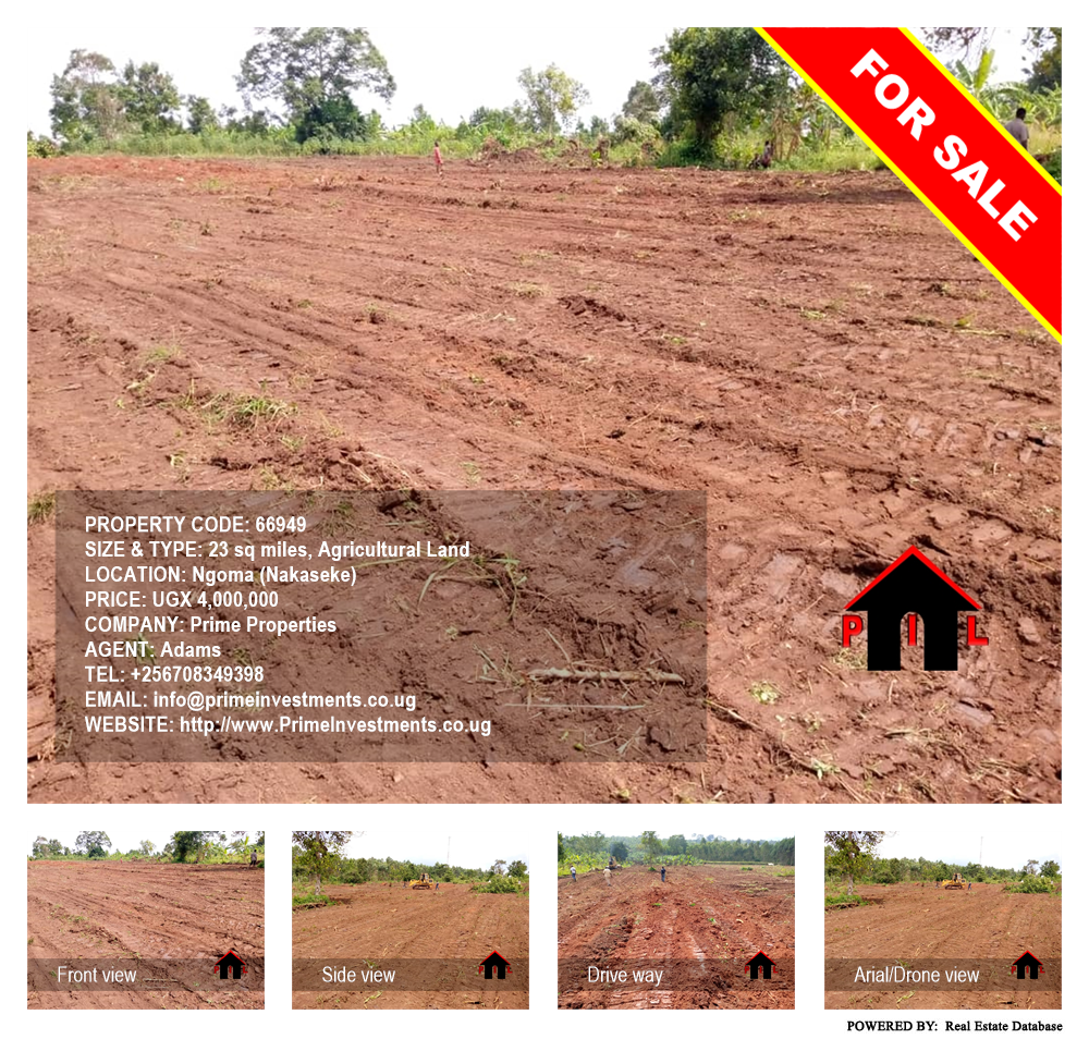Agricultural Land  for sale in Ngoma Nakaseke Uganda, code: 66949