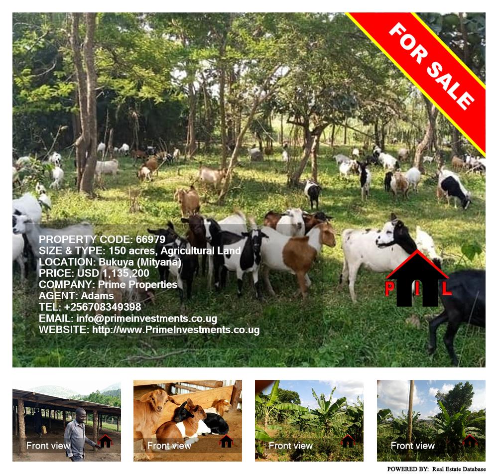 Agricultural Land  for sale in Bukuya Mityana Uganda, code: 66979