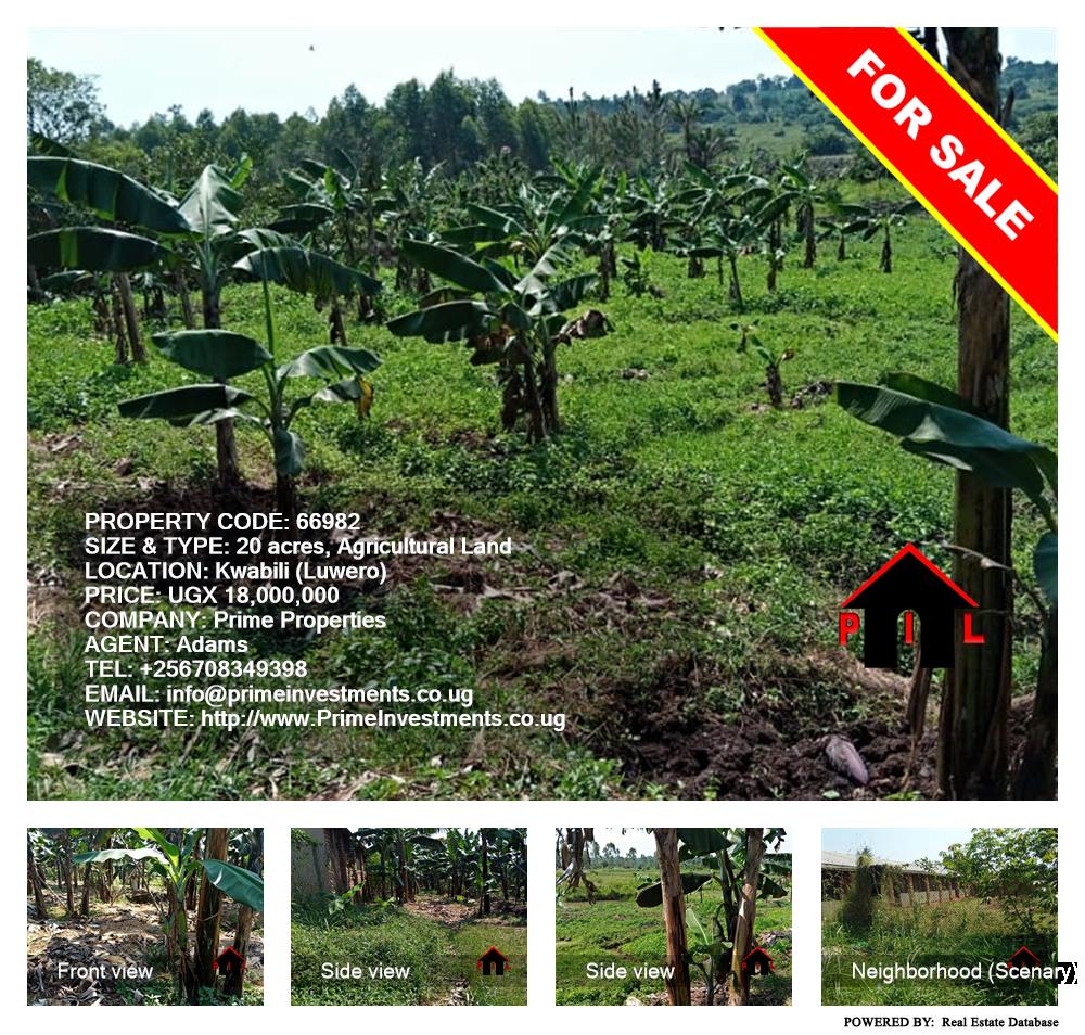 Agricultural Land  for sale in Kwabili Luweero Uganda, code: 66982