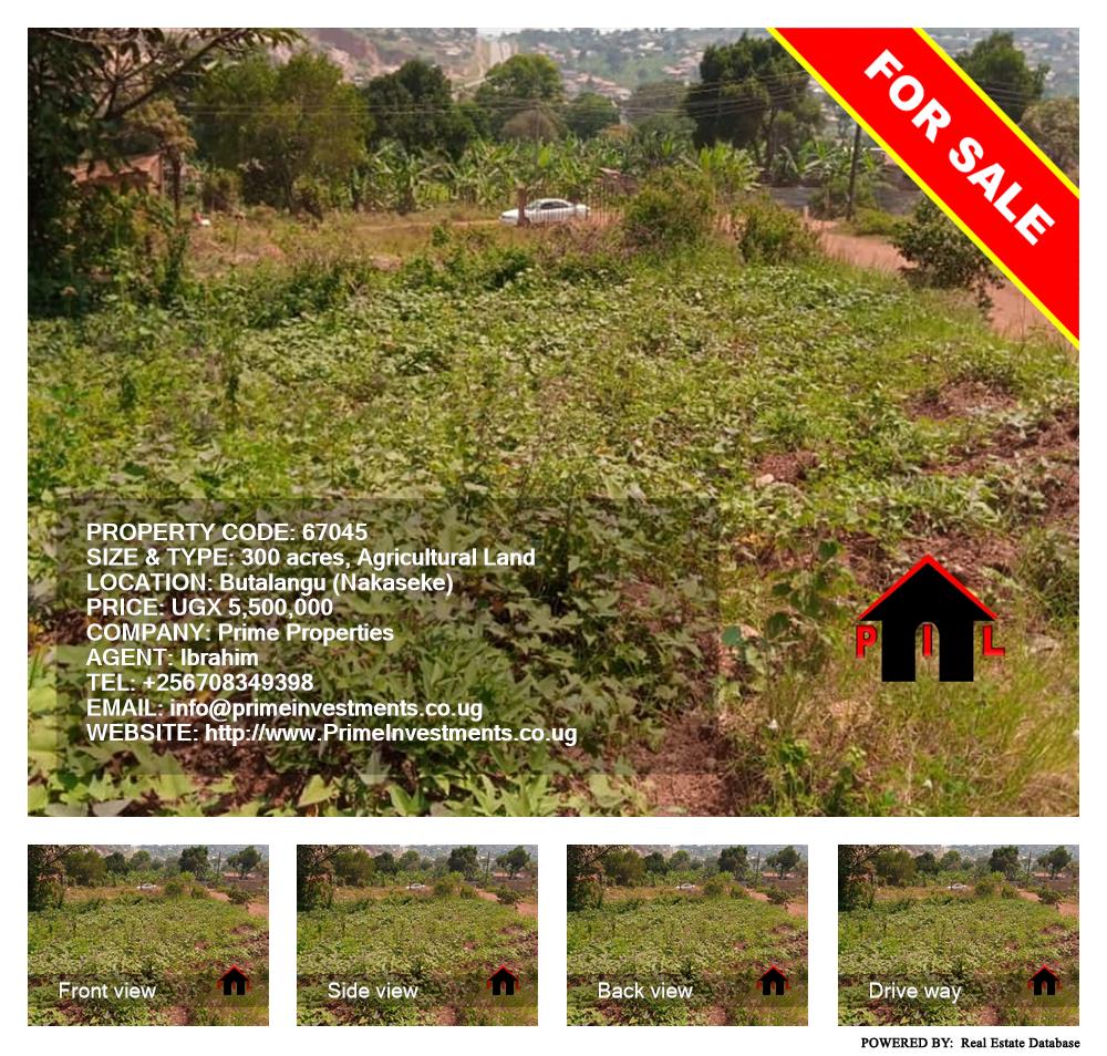 Agricultural Land  for sale in Butalangu Nakaseke Uganda, code: 67045