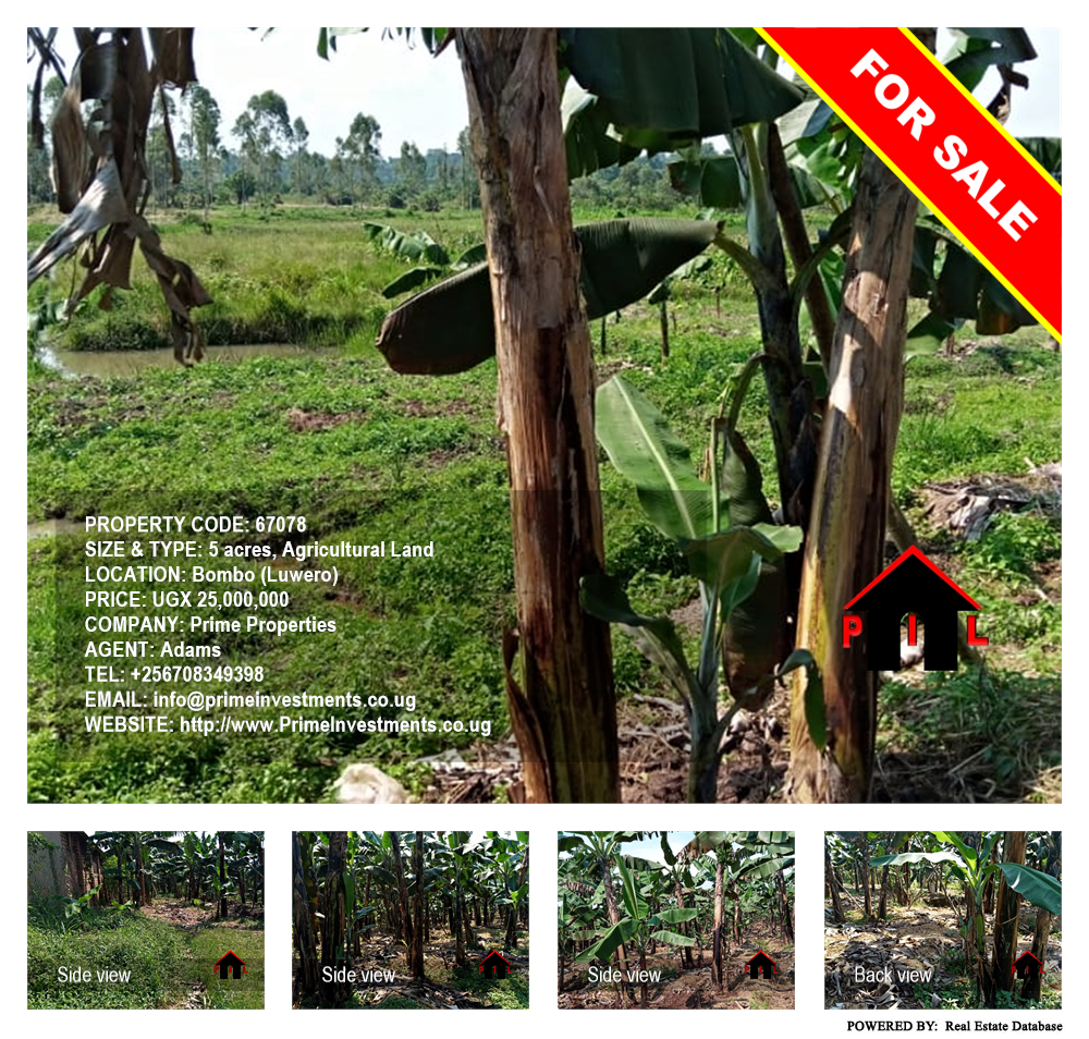 Agricultural Land  for sale in Bombo Luweero Uganda, code: 67078