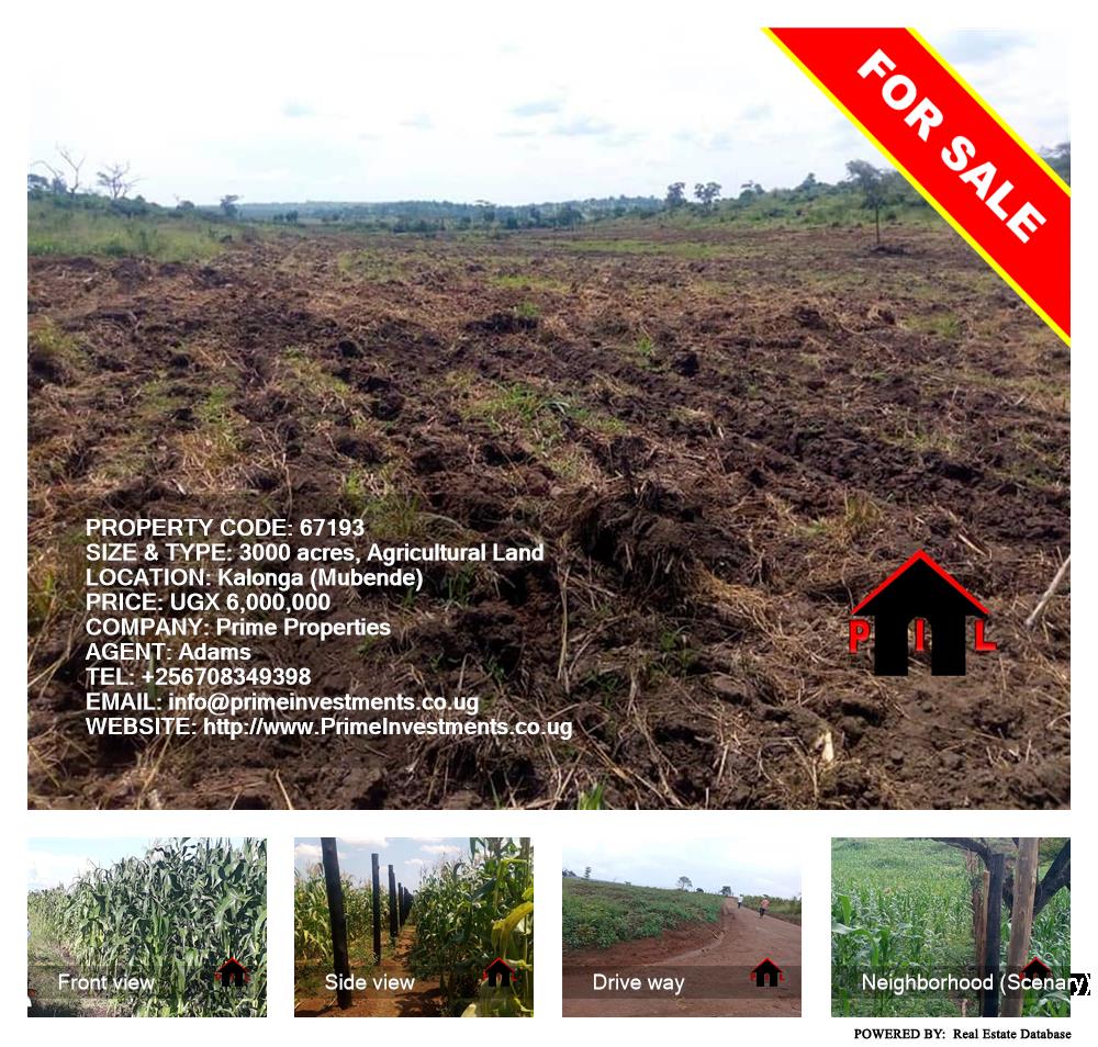Agricultural Land  for sale in Kalonga Mubende Uganda, code: 67193
