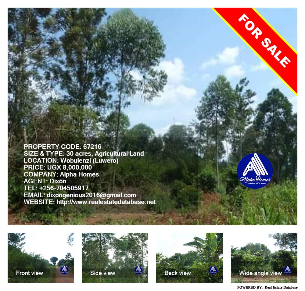 Agricultural Land  for sale in Wobulenzi Luweero Uganda, code: 67216