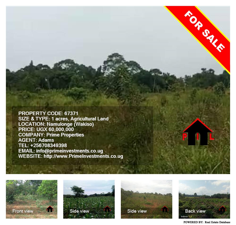 Agricultural Land  for sale in Namulonge Wakiso Uganda, code: 67371